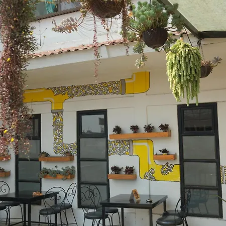 Yakety Yak Hostel-2